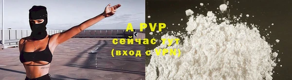 a pvp Абаза