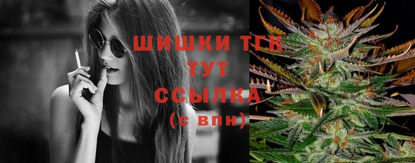тгк Абинск