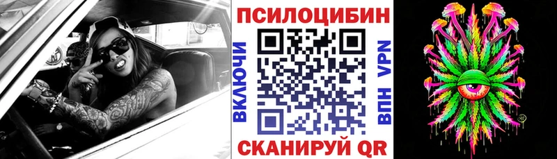 закладка  Приозерск  Псилоцибиновые грибы прущие грибы 